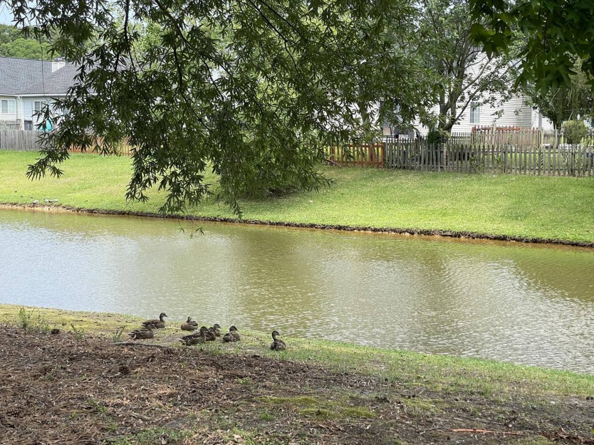 Townhouse for rent at Northwoods Villas, 2430 Woodstock Ave, Charleston, SC 29406