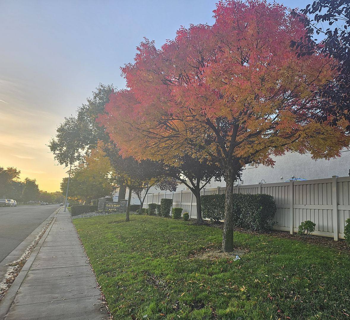 Apartment for rent at 2600 Shady Lane, Anderson, CA 96007