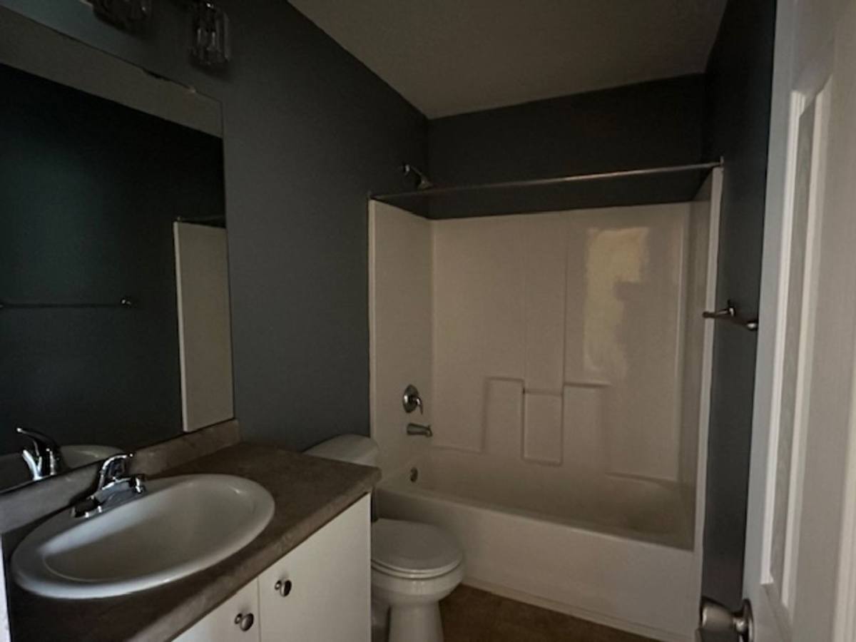 House for rent at 7002 White Pine Ave, Statesboro, GA 30458