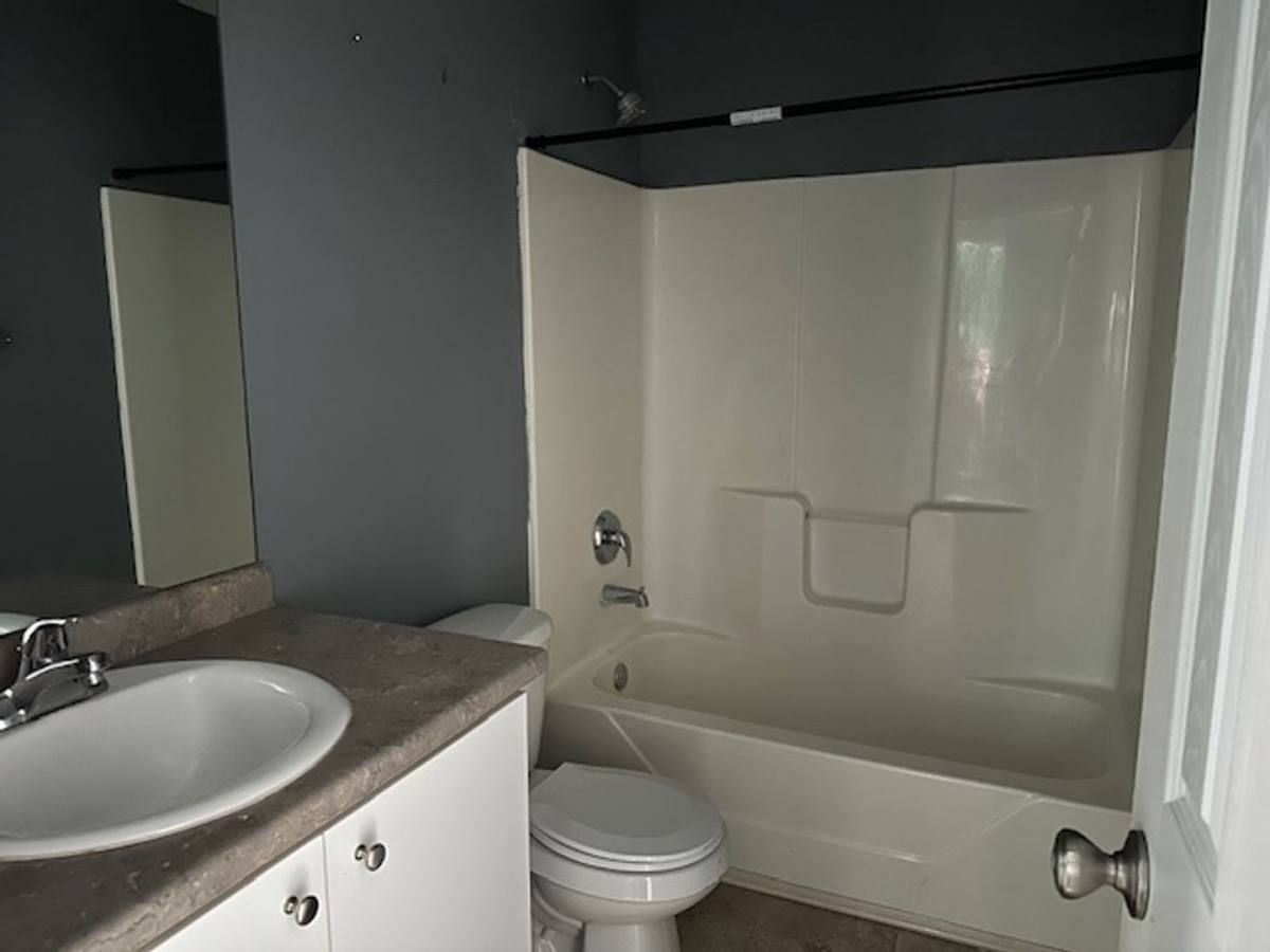 House for rent at 7002 White Pine Ave, Statesboro, GA 30458