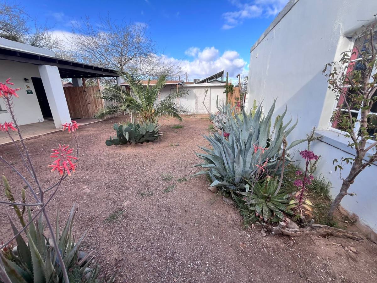 Apartment for rent at 220 E Fort Lowell Rd, Tucson, AZ 85705