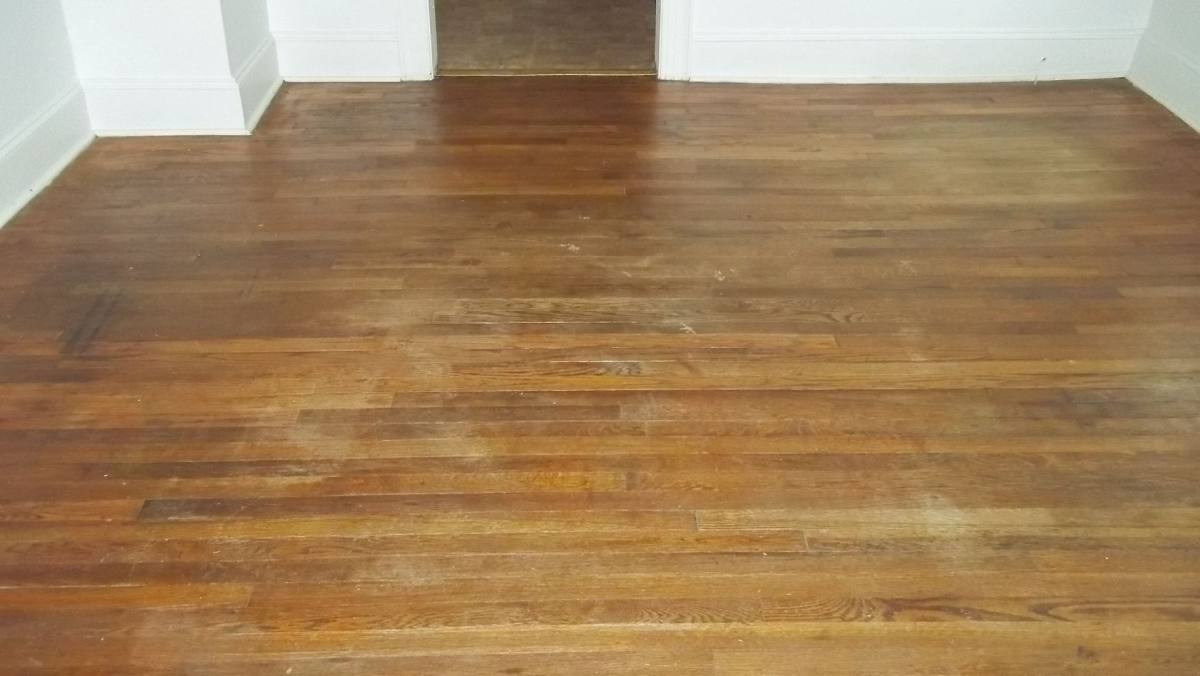 House for rent at 206 Hudson St, Greenville, NC 27834