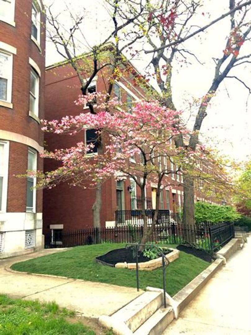 Apartment for rent at 3016 Saint Paul St, Baltimore, MD 21218