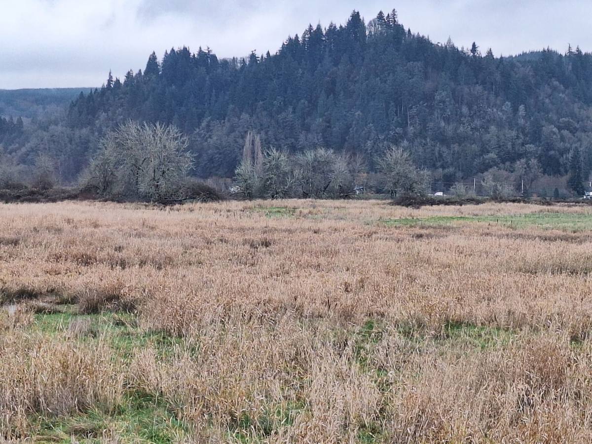 House for rent at 11393 Carver Rd, Clatskanie, OR 97016