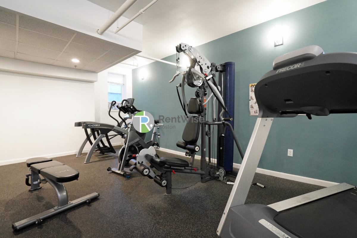 Apartment for rent at 10 Orkney Rd #C, Brighton, MA 02135