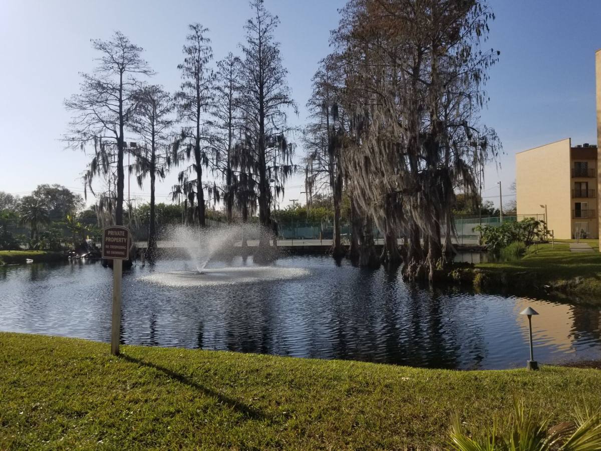 Apartment for rent at 5820 N Church Ave, Tampa, FL 33614