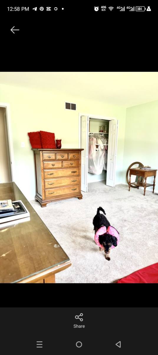Apartment for rent at 6636 Isle of Skye Dr Maryland #4, Highland, MD 20777