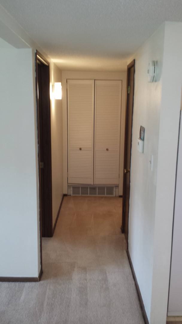 Apartment for rent at 1607 Windsor, Columbia, MO 65201