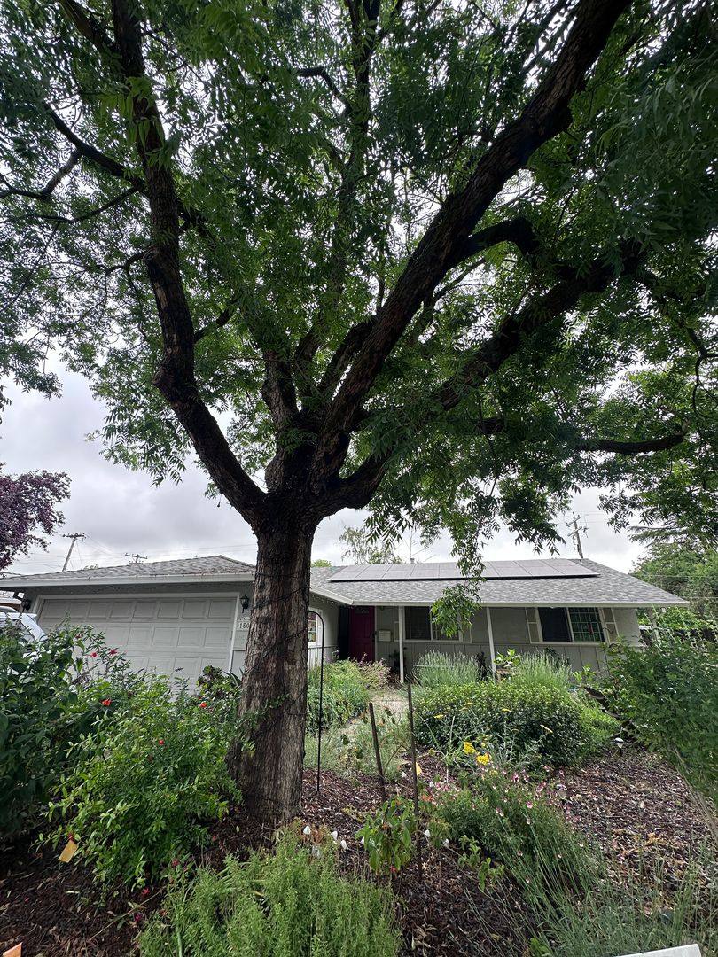 House for rent at 1506 Manzanita Lane, Davis, CA 95618