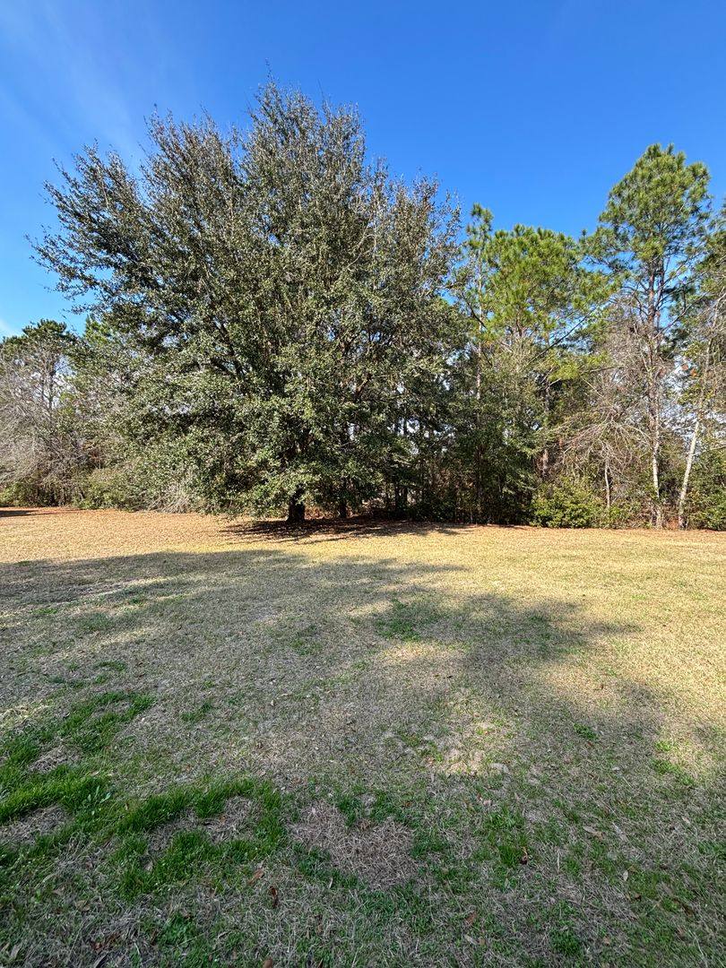 House for rent at 228 NE Jamey Lane, Ludowici, GA 31316