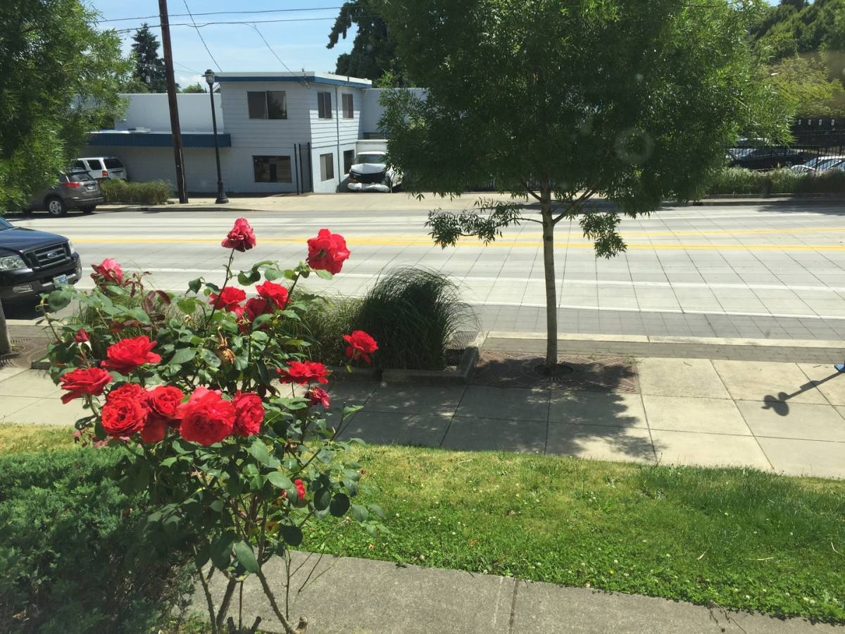 Apartment for rent at 8007-8015 N Denver Ave, Portland, OR 97217