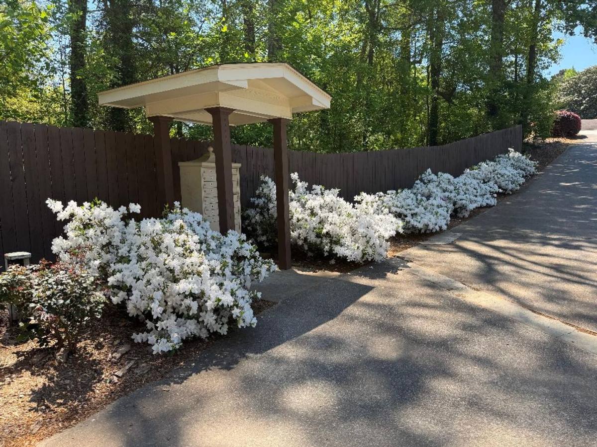 Apartment for rent at 4427 Oakwood Rd, Oakwood, GA 30566