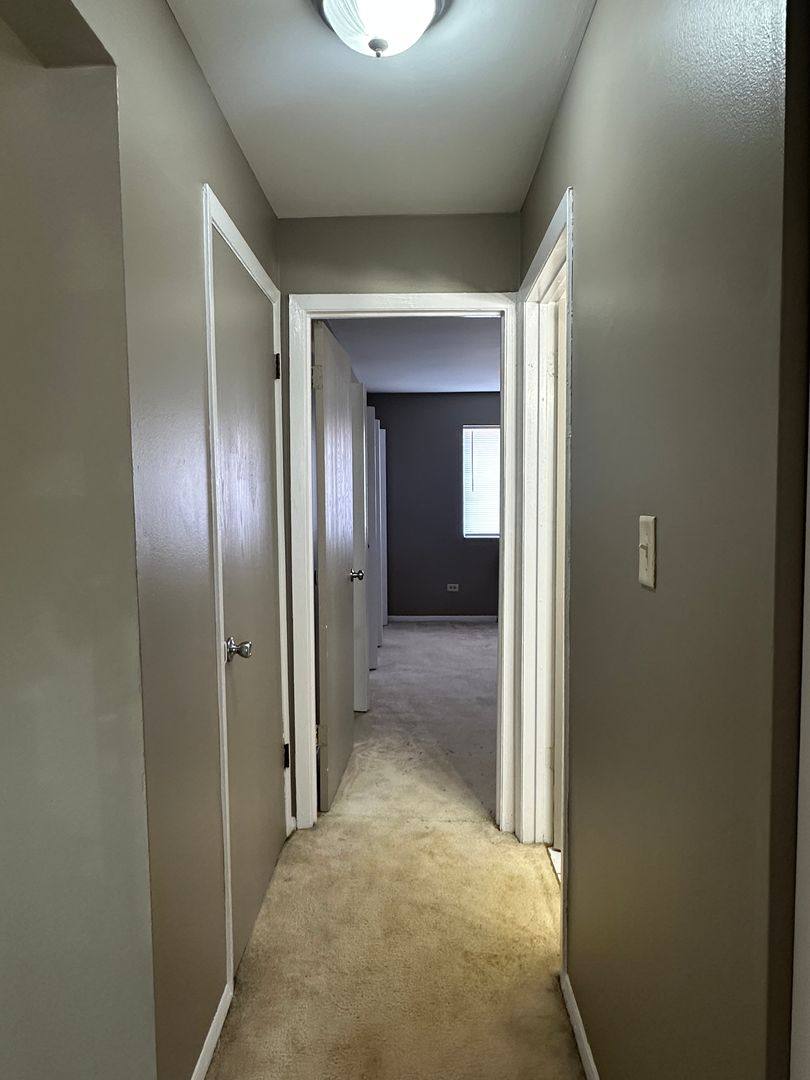 Apartment for rent at 2342 W Nichols Rd, Arlington Heights, IL 60004