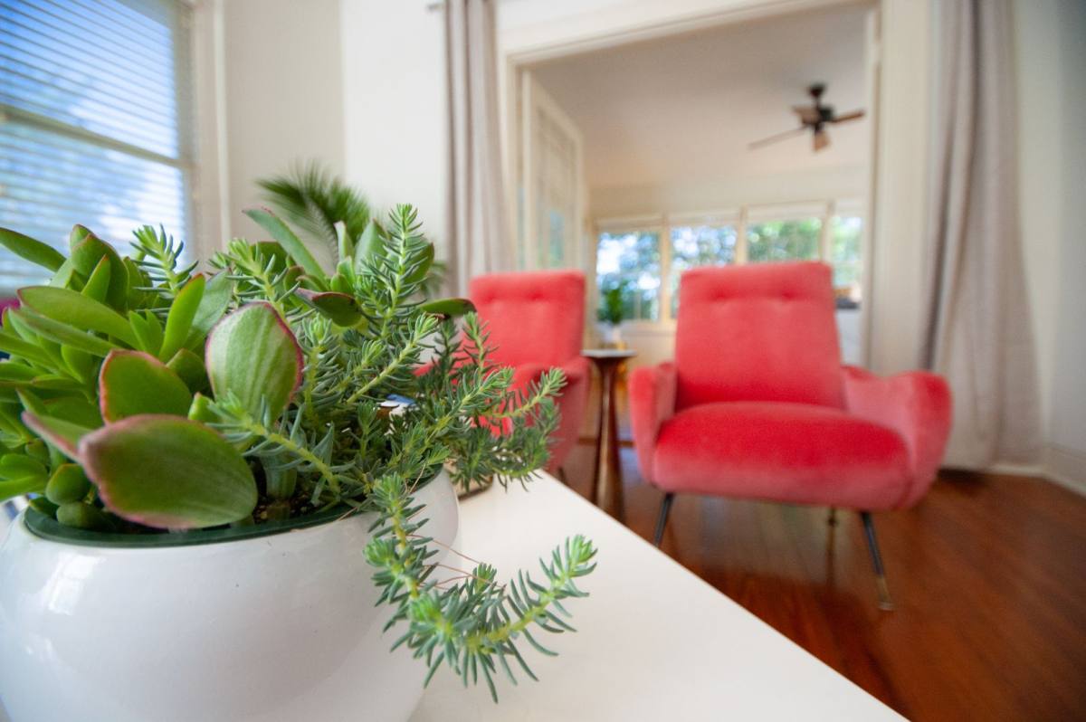 Apartment for rent at 2902 Hemphill Park, Austin, TX 78705