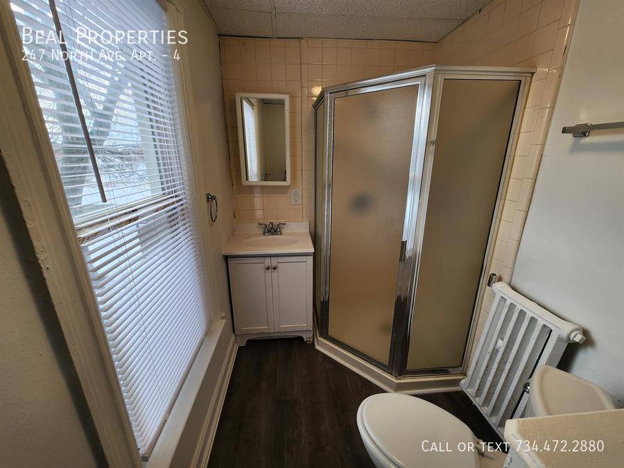 Apartment for rent at 247 N Ave #4, Mount Clemens, MI 48043