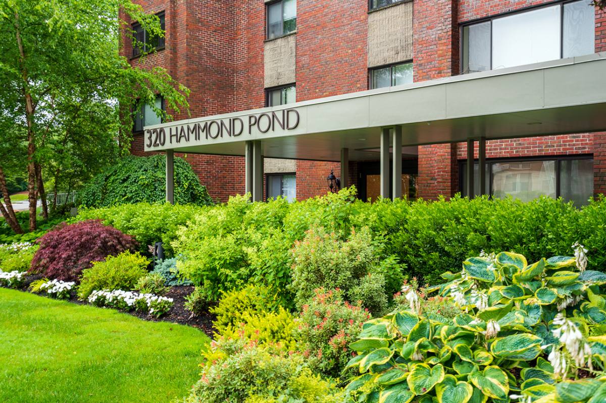 Apartment for rent at 320 Hammond Pond Parkway #502, Chestnut Hill, MA 02467