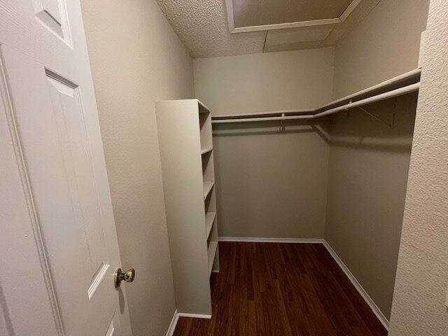 House for rent at 11029 Traci Lynn Dr, Jacksonville, FL 32218