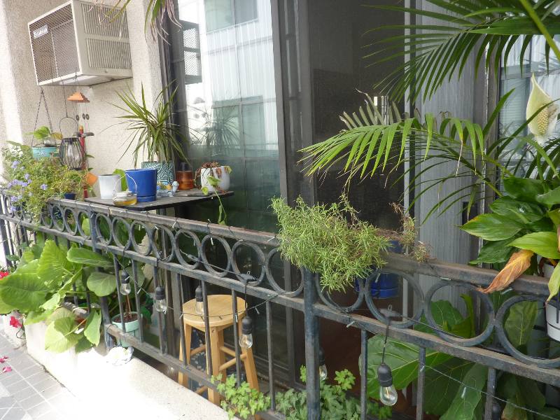 Apartment for rent at 3648 Motor Ave #102, Los Angeles, CA 90034