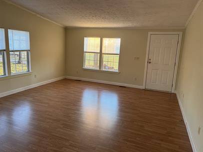 House for rent at 202 Woolbright Circle, Townville, SC 29689