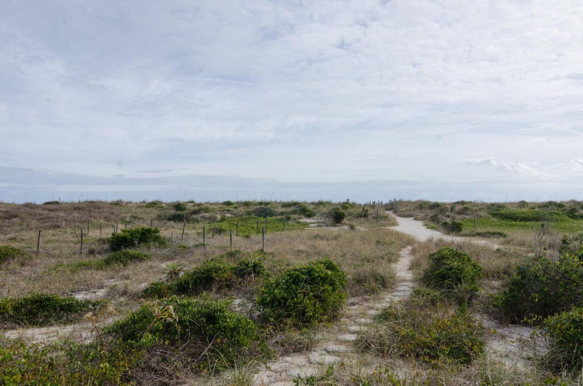 House for rent at 129 S Lumina Ave, Wrightsville Beach, NC 28480