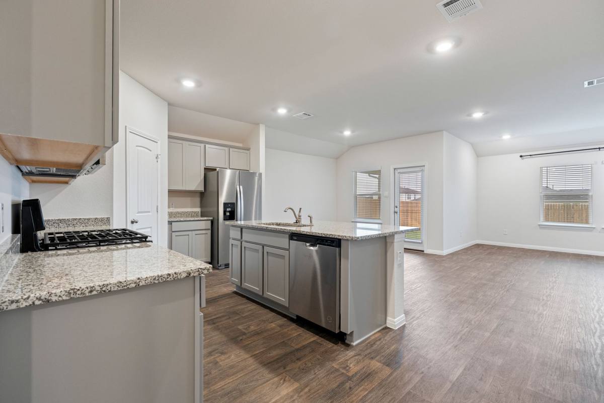 House for rent at 176 Texas Palmetto Circle, Kyle, TX 78640