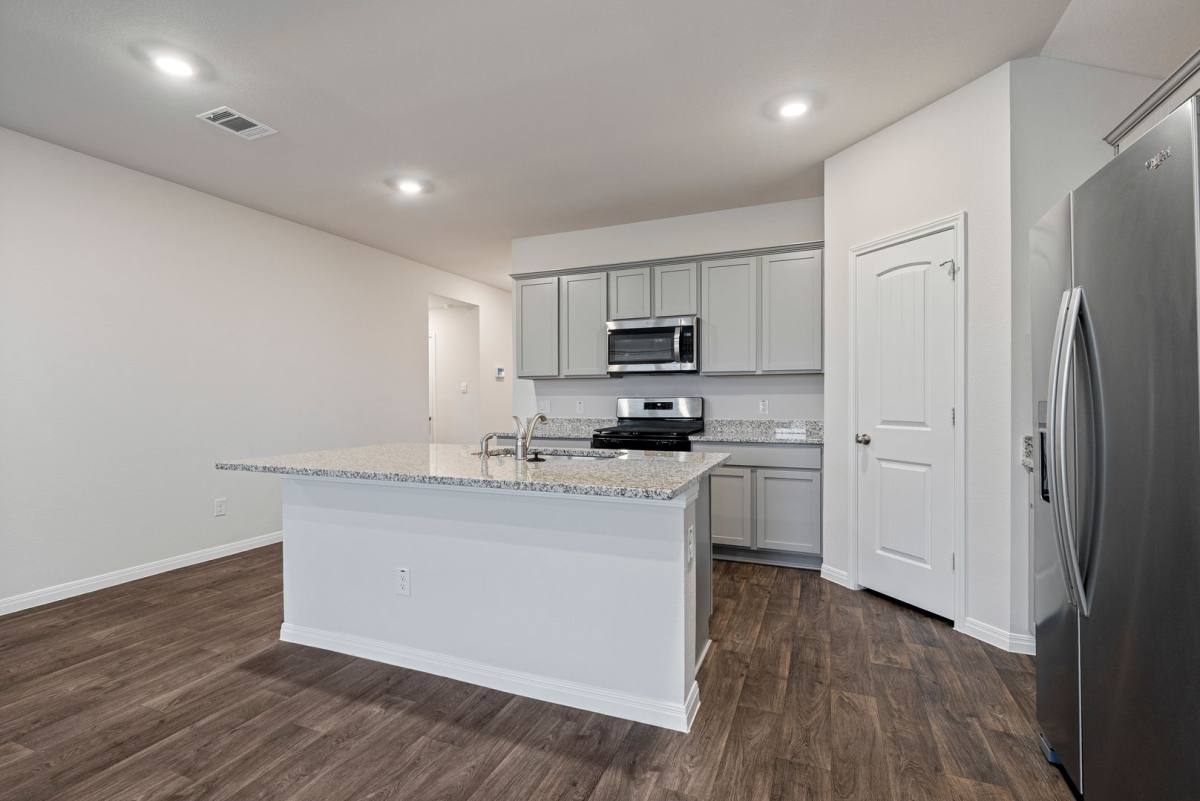 House for rent at 176 Texas Palmetto Circle, Kyle, TX 78640