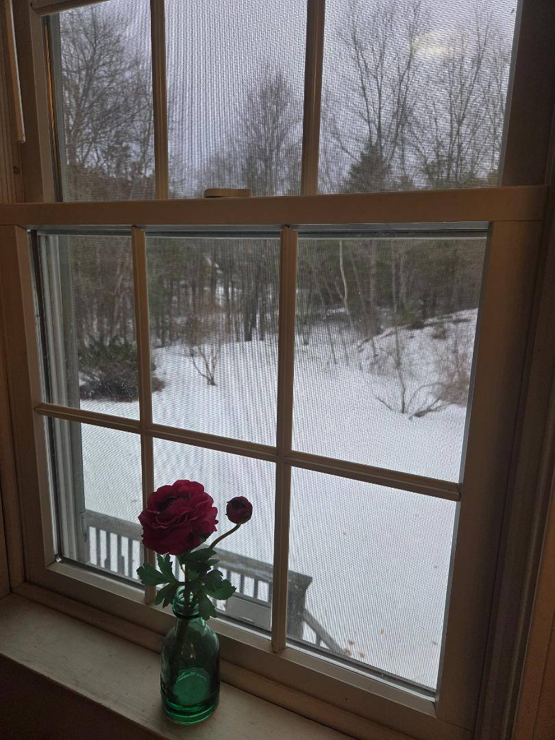 House for rent at 8 Woodknoll Dr, North Hampton, NH 03862