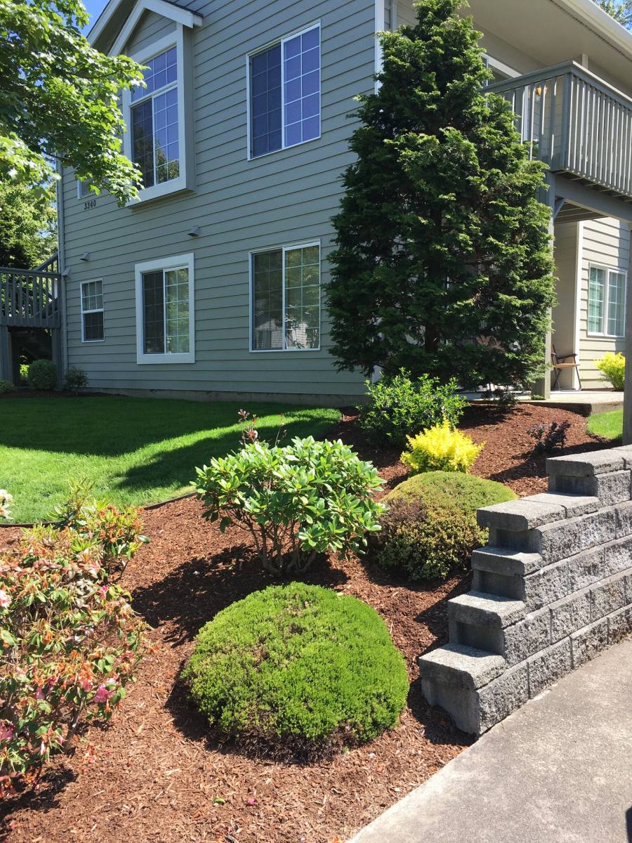 Apartment for rent at 3340 Southbend Place, Bellingham, WA 98226