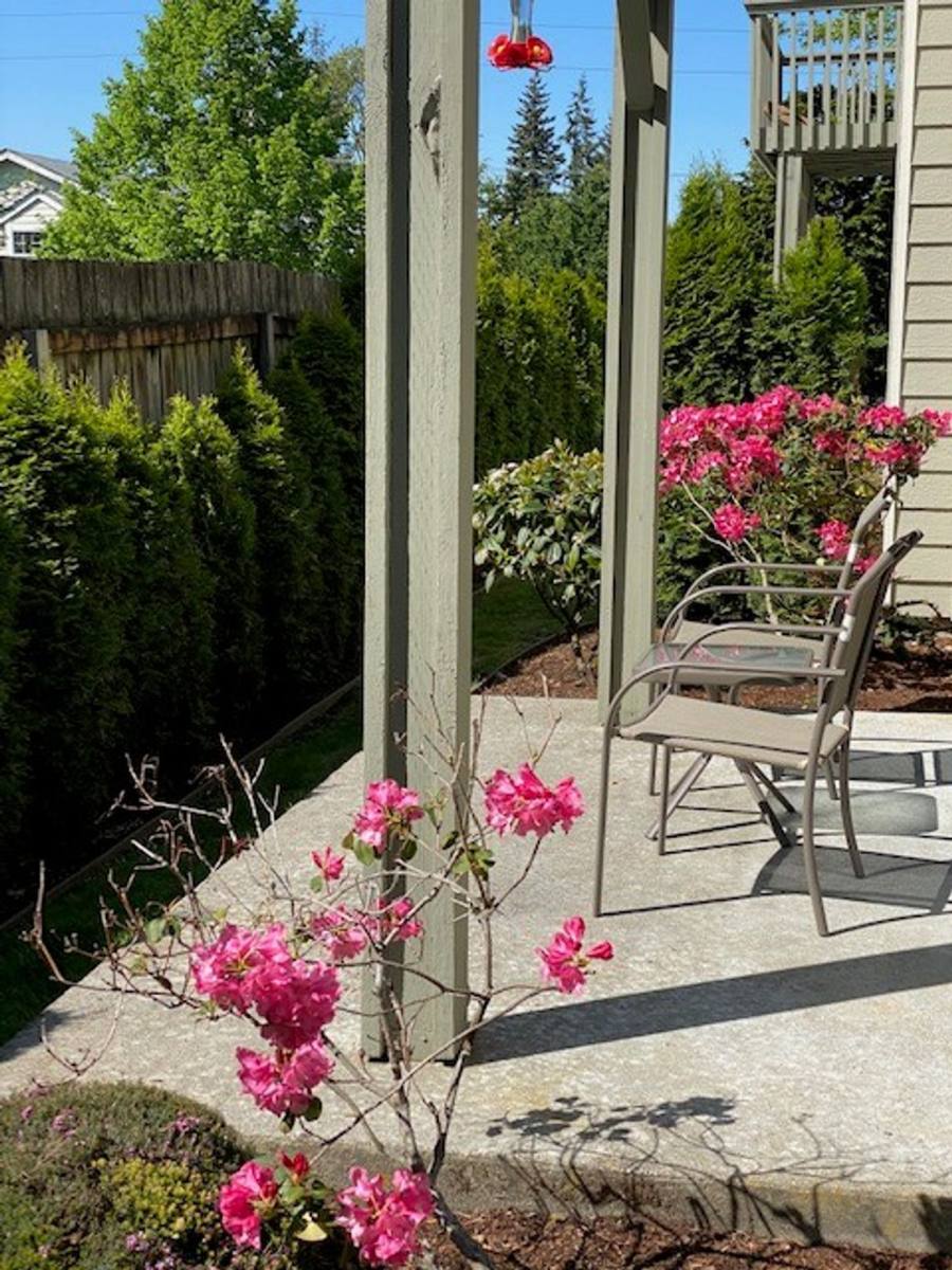 Apartment for rent at 3340 Southbend Place, Bellingham, WA 98226