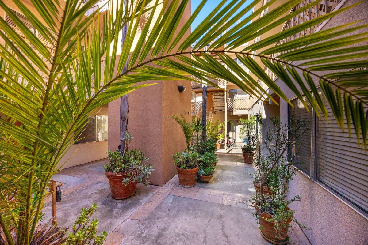 Apartment for rent at 4066 Albatross St, San Diego, CA 92103