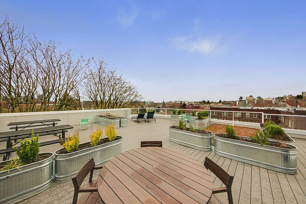 1715 12th Ave, Seattle, WA 98122 - Apartment for Rent - Image 4