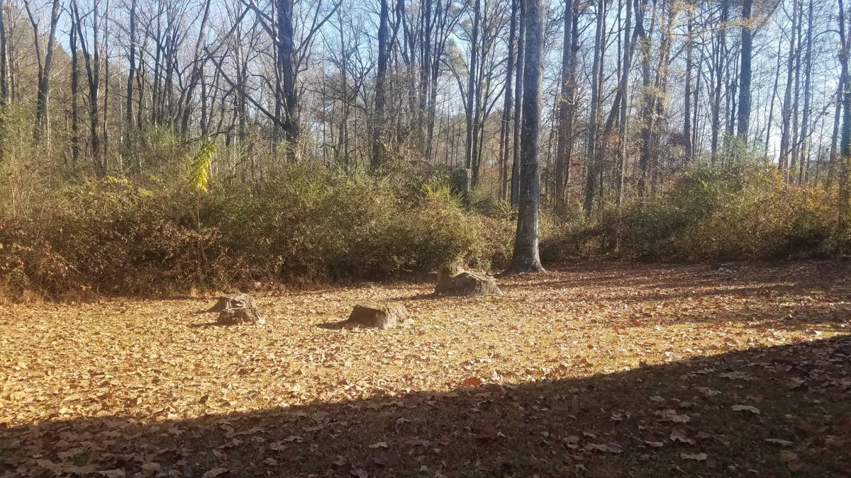 House for rent at 2804 Candler Run, Marietta, GA 30064