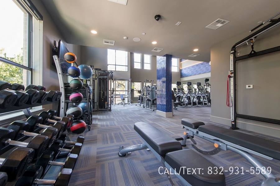 Apartment for rent at 699 Webster St #PATM2, Houston, TX 77002