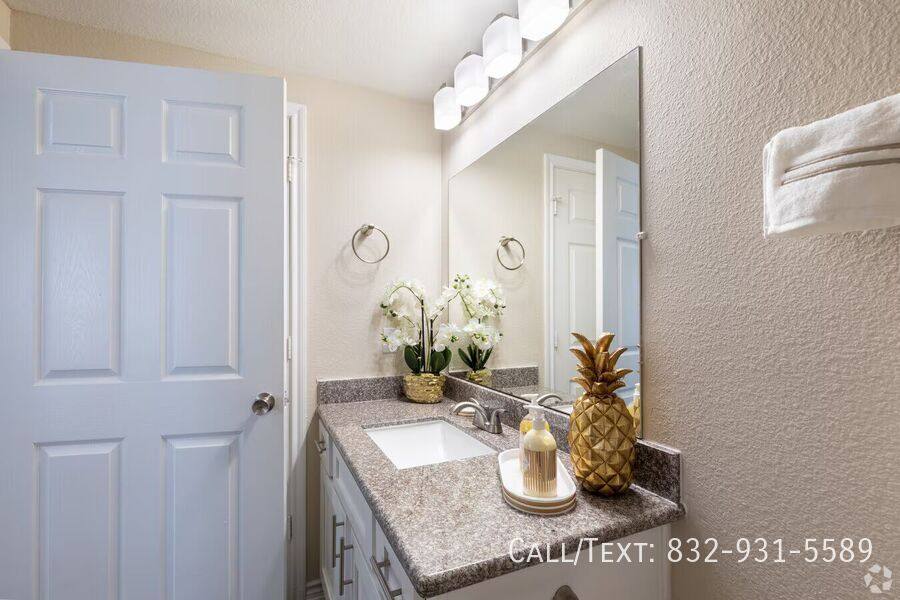 Apartment for rent at 10110 Charterwood Dr #PLVP1, Houston, TX 77070
