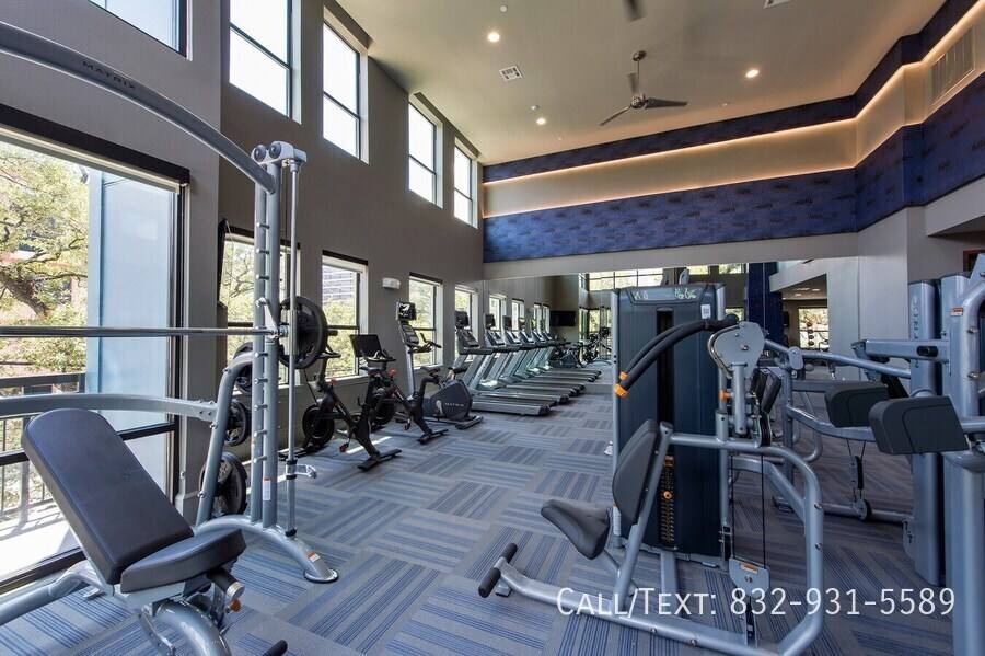 Apartment for rent at 699 Webster St #PATM1, Houston, TX 77002