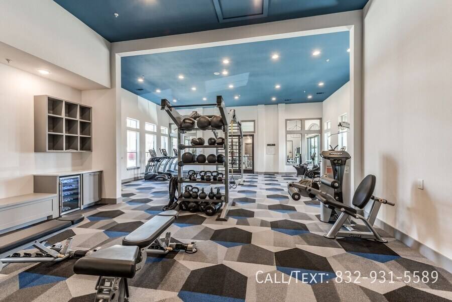Apartment for rent at 234 E Medical Center Blvd #PLR, Webster, TX 77598