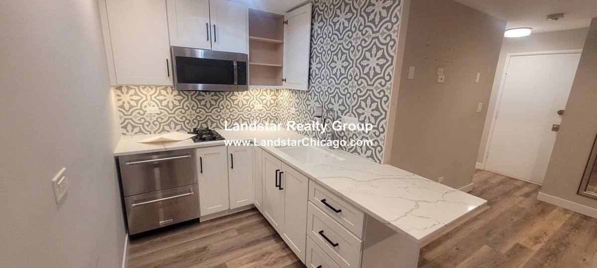 Apartment for rent at 663 W Grace St #103, Chicago, IL 60613