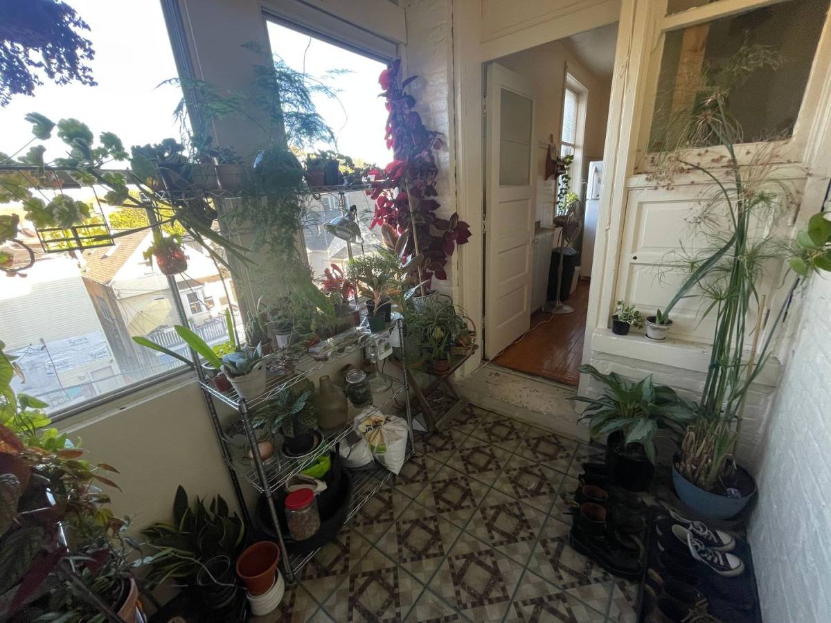 Apartment for rent at 1644 W Summerdale Ave #3N, Chicago, IL 60640