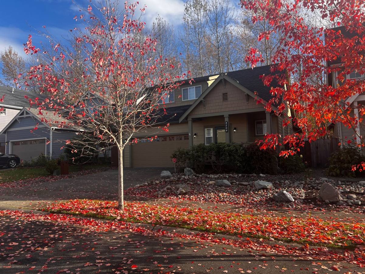 House for rent at 4704 Hadley St, Bellingham, WA 98226