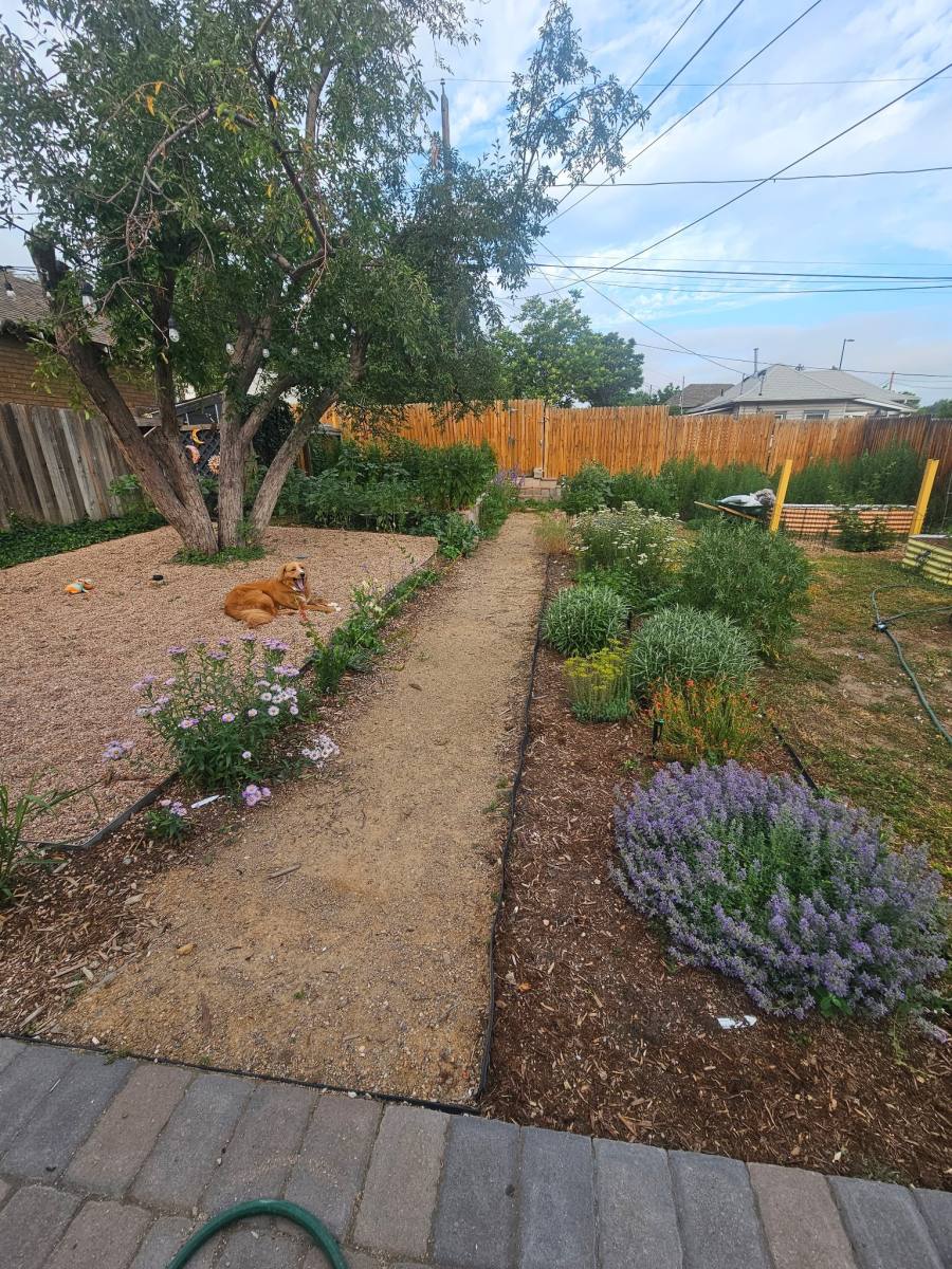 House for rent at 61 Newton St, Denver, CO 80219