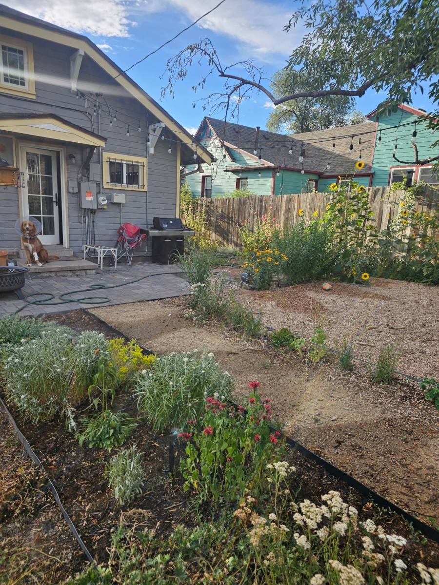 House for rent at 61 Newton St, Denver, CO 80219