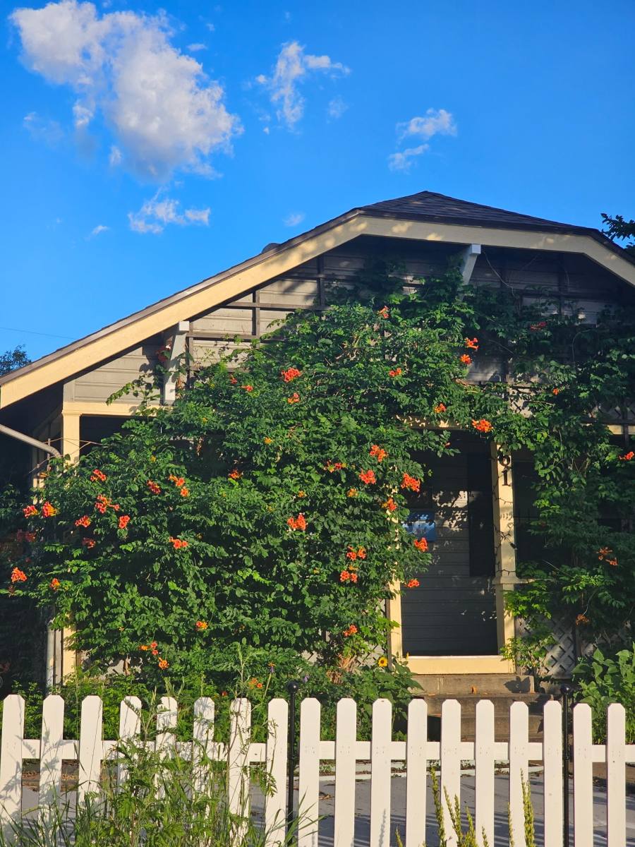 House for rent at 61 Newton St, Denver, CO 80219