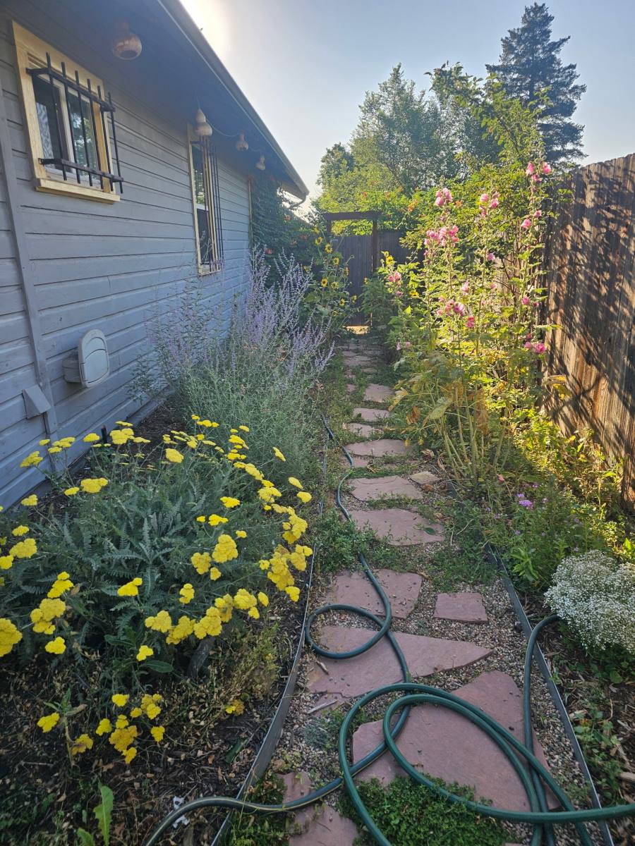 House for rent at 61 Newton St, Denver, CO 80219