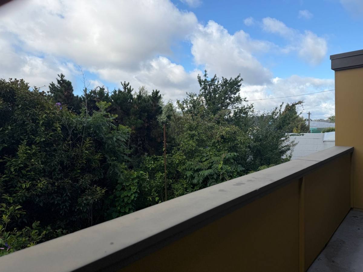 Apartment for rent at 929 Grace Ave, Emeryville, CA 94608