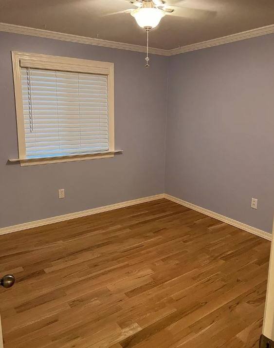 House for rent at 12065 W Hailey Lane, Marana, AZ 85653