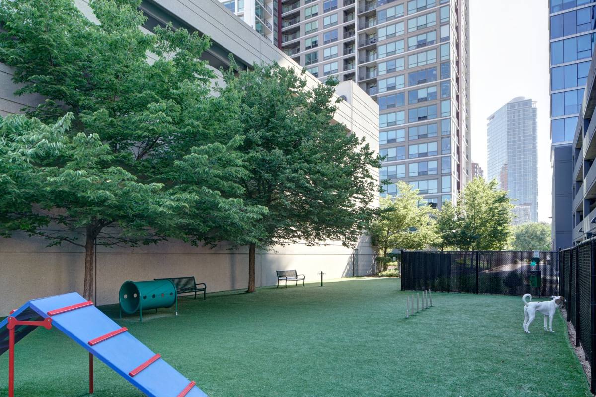Apartment for rent at 910 S Clark St, Chicago, IL 60605