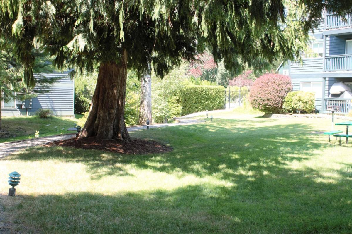Apartment for rent at 3514 204th St SW #G206, Lynnwood, WA 98036