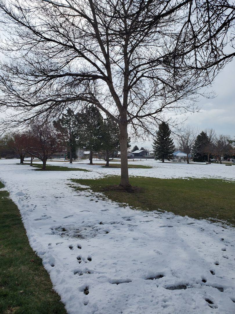 House for rent at 2836 Troxell Ave, Longmont, CO 80503