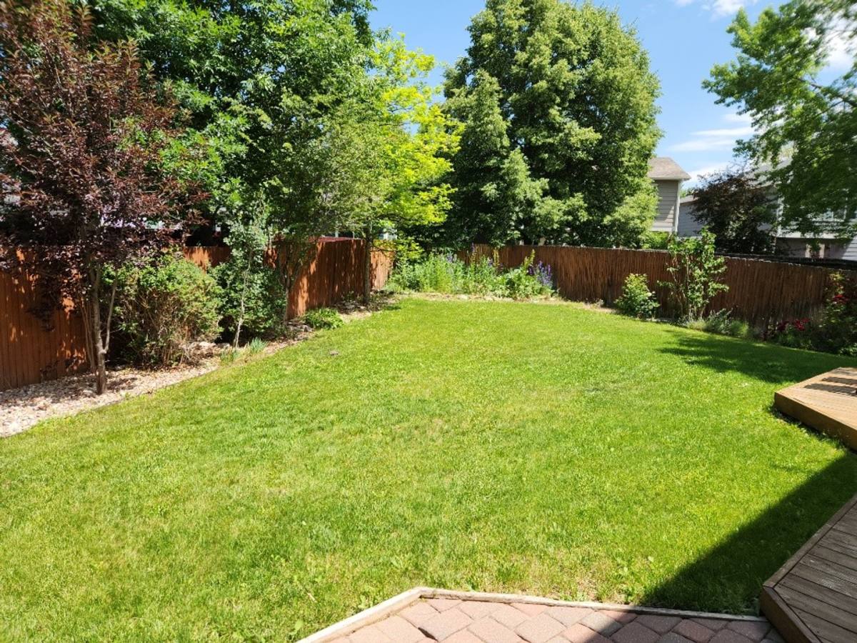 House for rent at 903 Jasmine Place, Lafayette, CO 80026