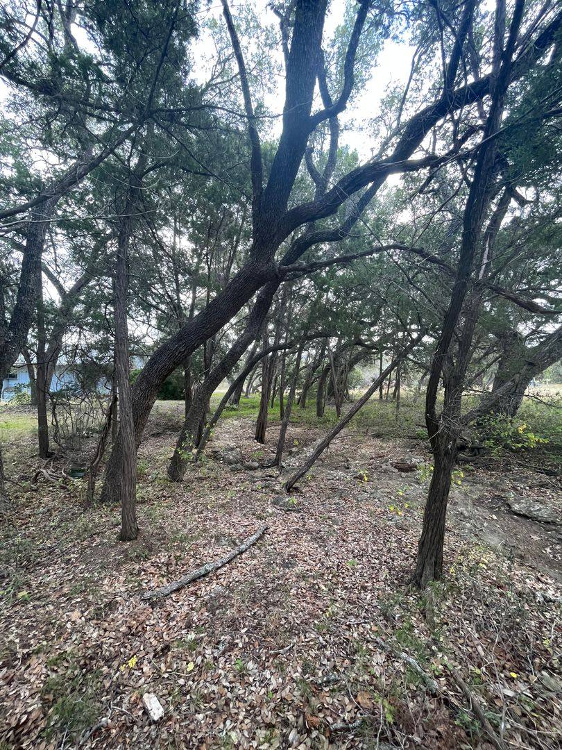 House for rent at 541-A Buck Trail, Canyon Lake, TX 78133